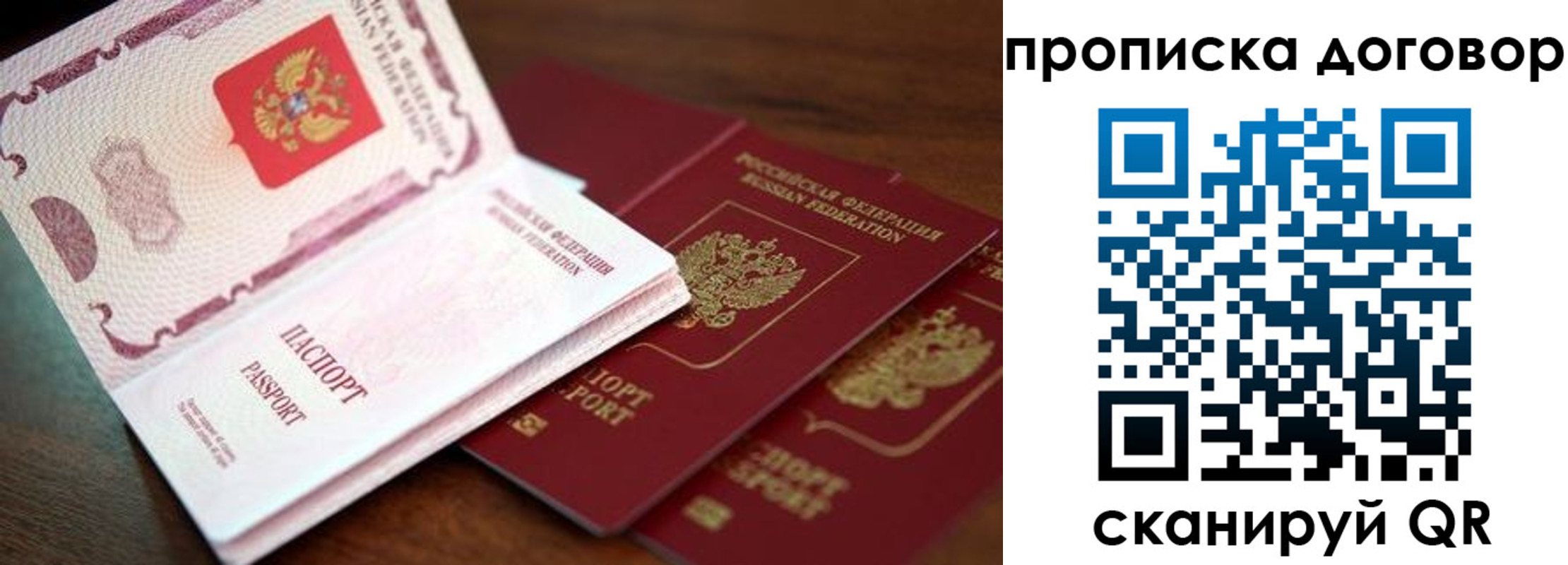 прописка для школы в Тосно